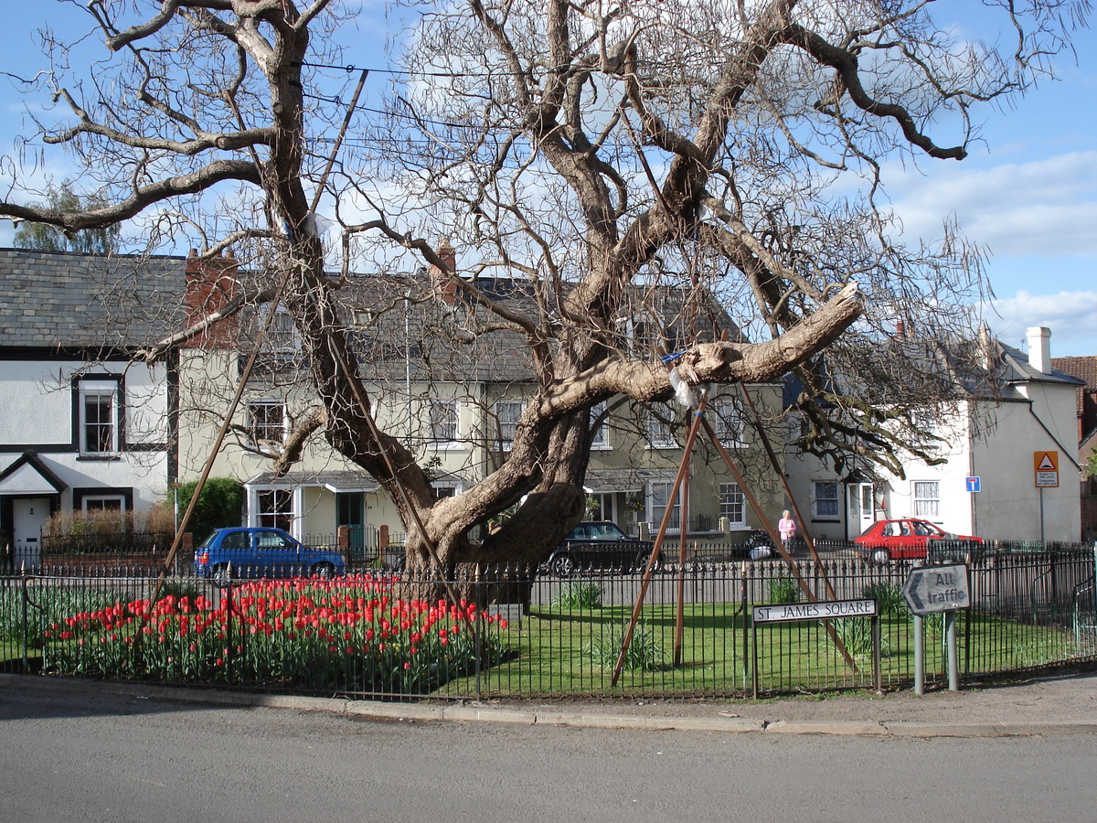 รูปถ่าย อังกฤษ(United Kingdom) มอนเมาธ์(Monmouth) 2006-05 6