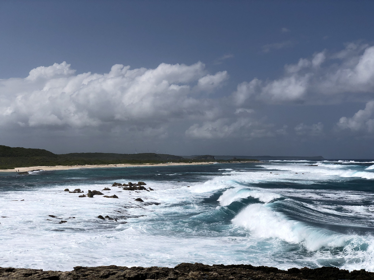 รูปถ่าย กวาเดอลูป(Guadeloupe) แหลมคาสเซิลพอยต์(Castle Point) 2021-02 41