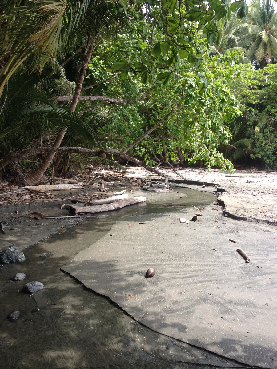 รูปถ่าย คอสตาริกา(Costa Rica) มอนเตซูมา(Montezuma) 2015-03 336