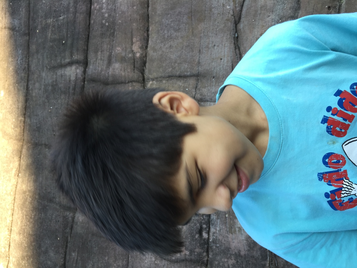 รูปถ่าย ไทย(Thailand) อุทยานแห่งชาติภูหินร่องกล้า(Phu Hin Rong Kla National Park) 2014-12 393