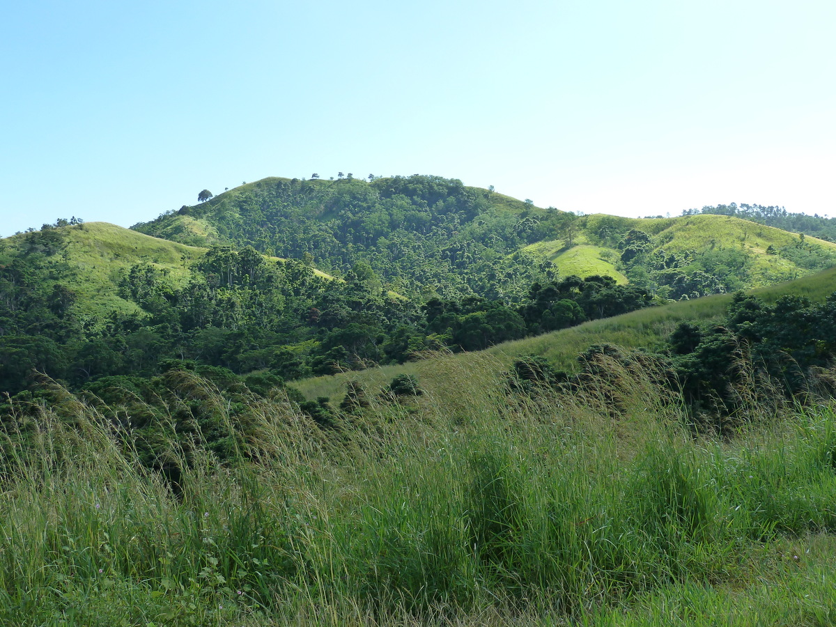 รูปถ่าย ฟิจิ(Fiji) แม่น้ำซิงกาโตกา(Sigatoka river) 2010-05 80