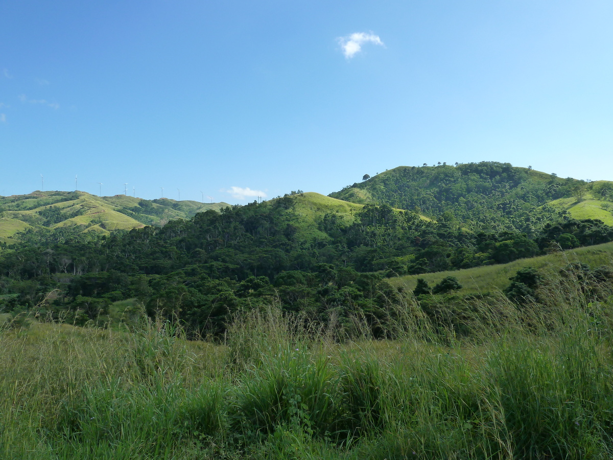 รูปถ่าย ฟิจิ(Fiji) แม่น้ำซิงกาโตกา(Sigatoka river) 2010-05 69