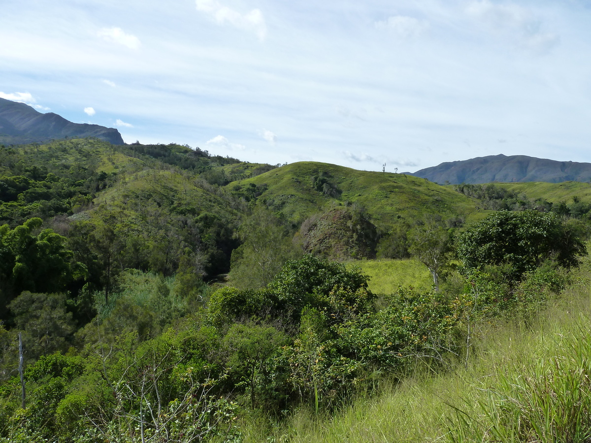รูปถ่าย นิวแคลิโดเนีย(New Caledonia) ถนนจากตงตูตาไปทีโอ(Tontouta to Thio road) 2010-05 129