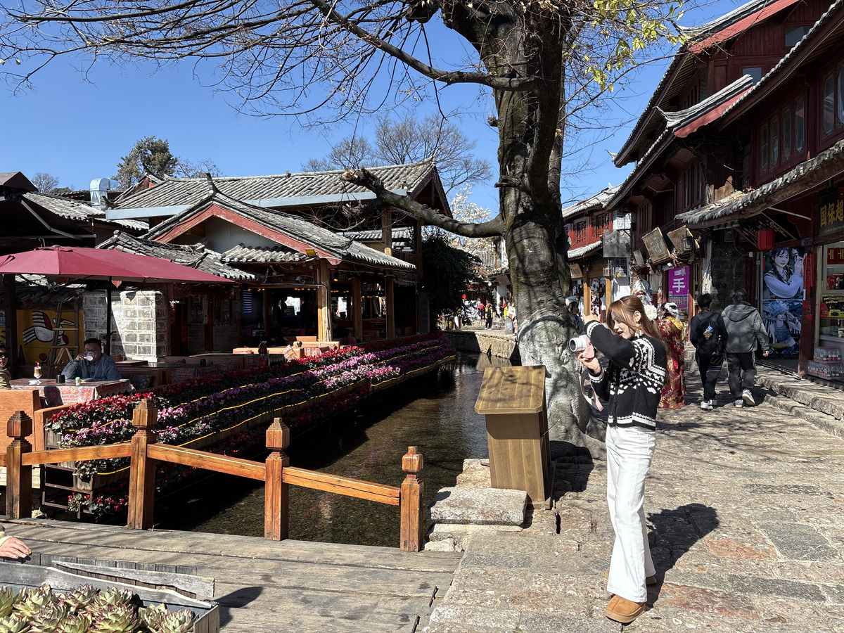 รูปถ่าย จีน(China) ลี่เจียง(Lijiang) 2026-01 780