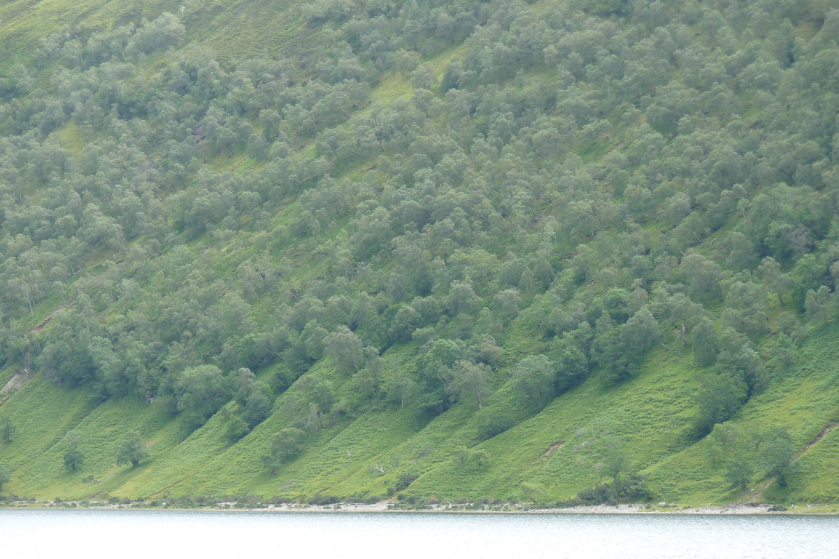 รูปถ่าย อังกฤษ(United Kingdom) เวสเตอร์รอสส์(Wester Ross) 2011-07 51