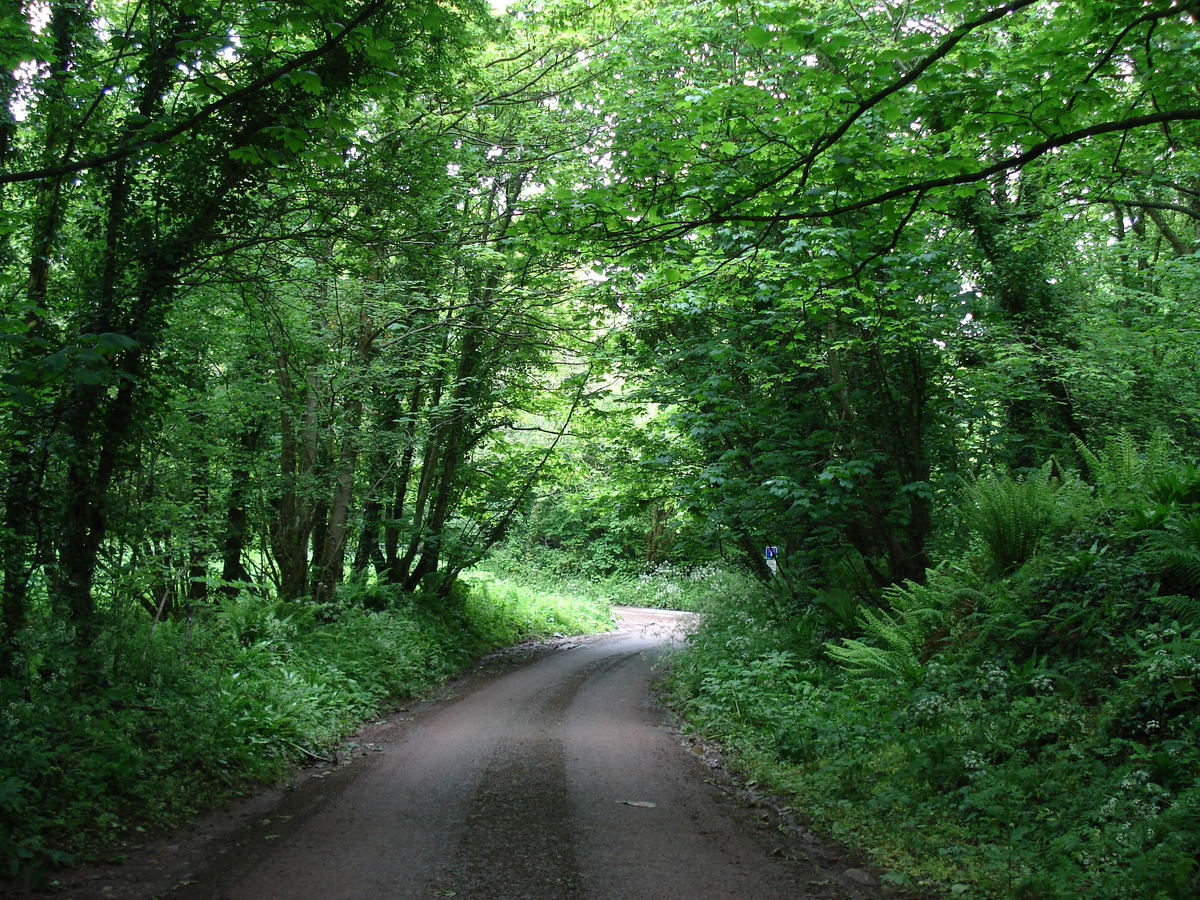รูปถ่าย อังกฤษ(United Kingdom) เปมโบรคเชอร์(Pembrokeshire) 2006-05 7