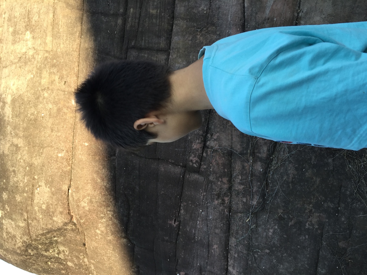 รูปถ่าย ไทย(Thailand) อุทยานแห่งชาติภูหินร่องกล้า(Phu Hin Rong Kla National Park) 2014-12 321