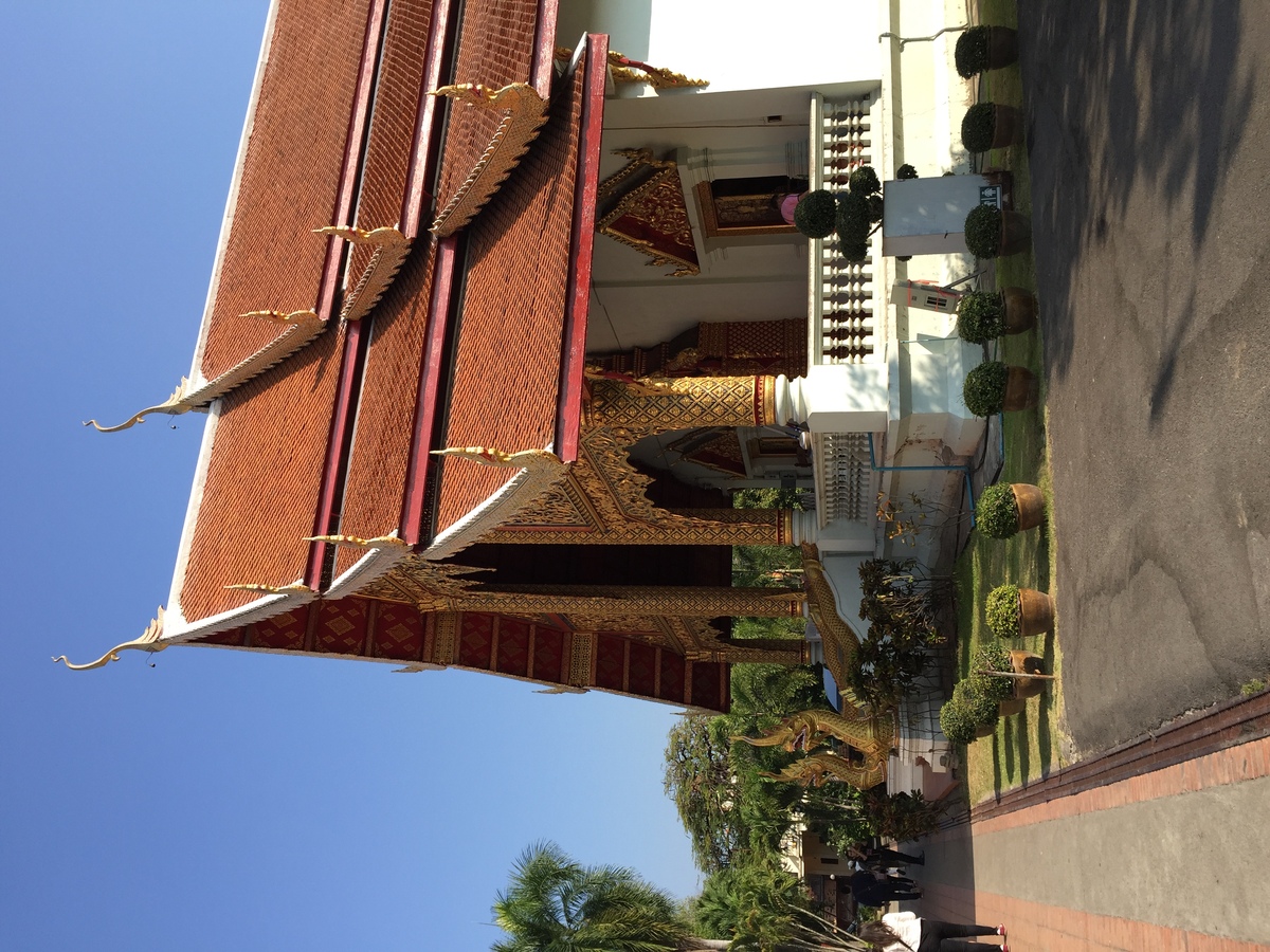 รูปถ่าย ไทย(Thailand) เชียงใหม่(Chiang Mai) 2014-12 54