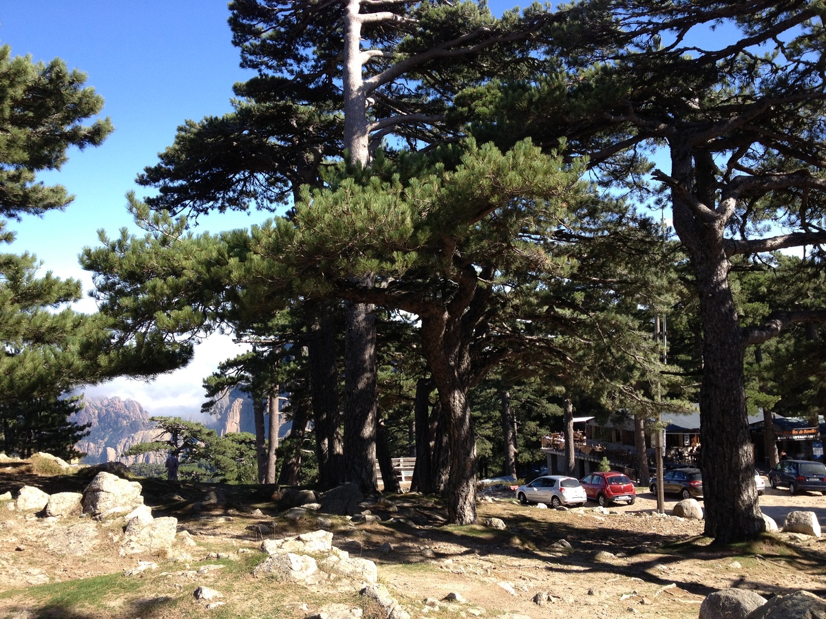รูปถ่าย ฝรั่งเศส(France) คอร์สิคา(Corsica) บาแวลลา(Bavella) 2012-09 8
