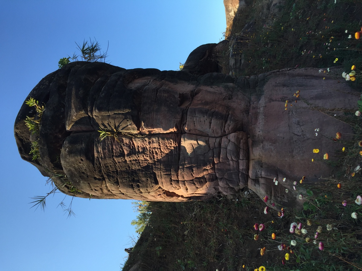 รูปถ่าย ไทย(Thailand) อุทยานแห่งชาติภูหินร่องกล้า(Phu Hin Rong Kla National Park) 2014-12 360