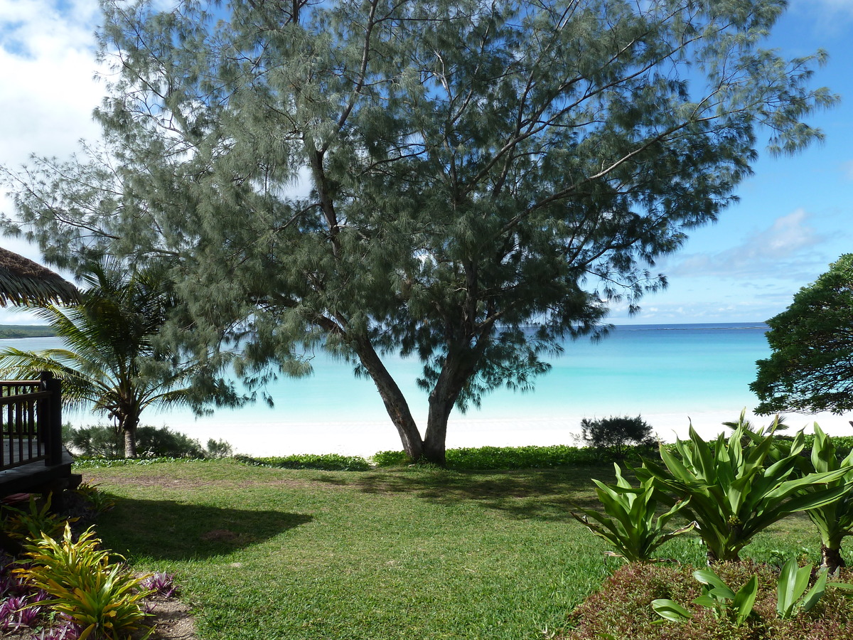 รูปถ่าย นิวแคลิโดเนีย(New Caledonia) 2010-05 50