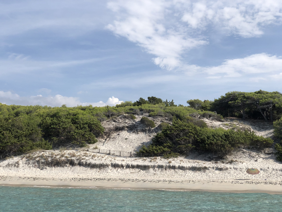 รูปถ่าย ฝรั่งเศส(France) คอร์สิคา(Corsica) หาดซาเลชชา(Saleccia Beach) 2018-09 1