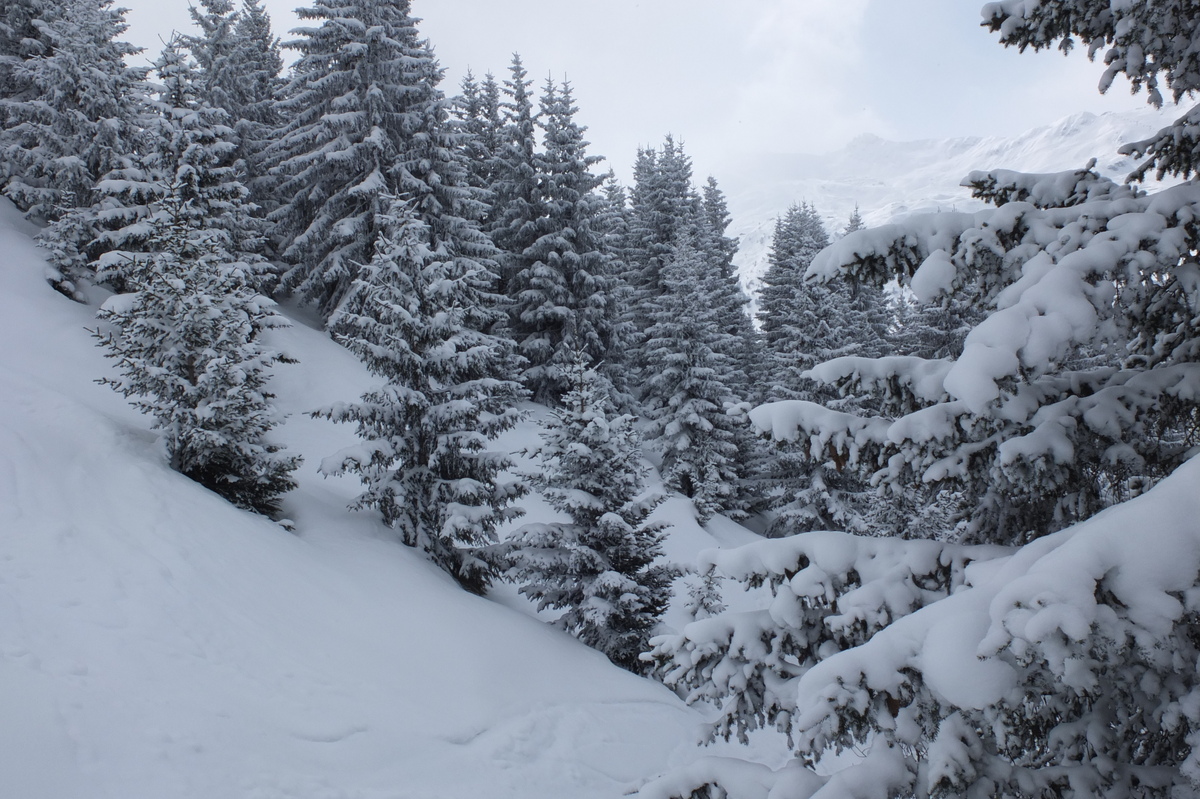 รูปถ่าย ฝรั่งเศส(France) เลทรัววาเล(Les 3 Vallees) 2013-03 228