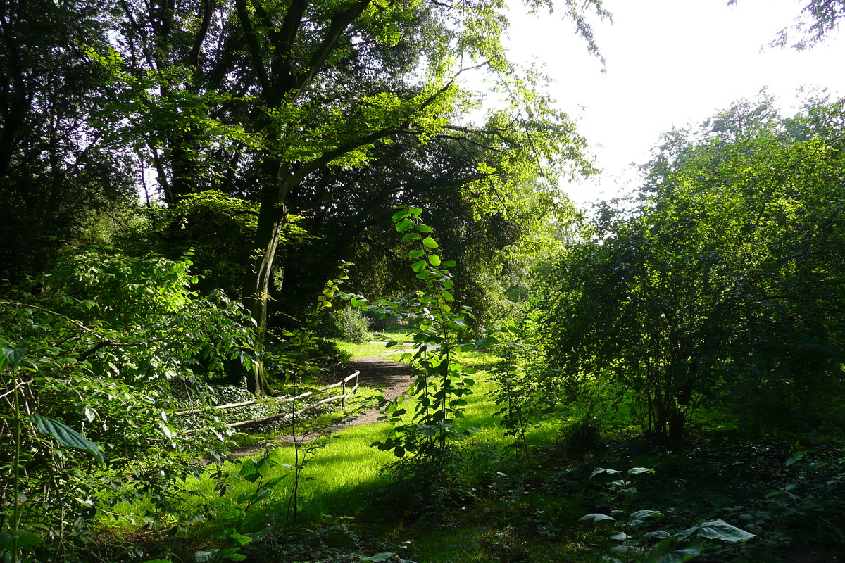 รูปถ่าย ฝรั่งเศส(France) ปารีส(Paris) สวนพันธ์ุพืช(Jardin des Plantes) 2007-08 153