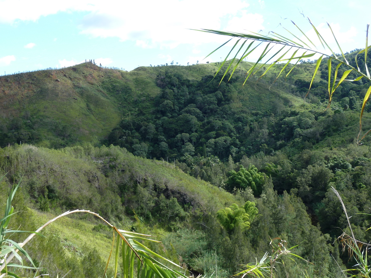 รูปถ่าย นิวแคลิโดเนีย(New Caledonia) ถนนจากตงตูตาไปทีโอ(Tontouta to Thio road) 2010-05 112