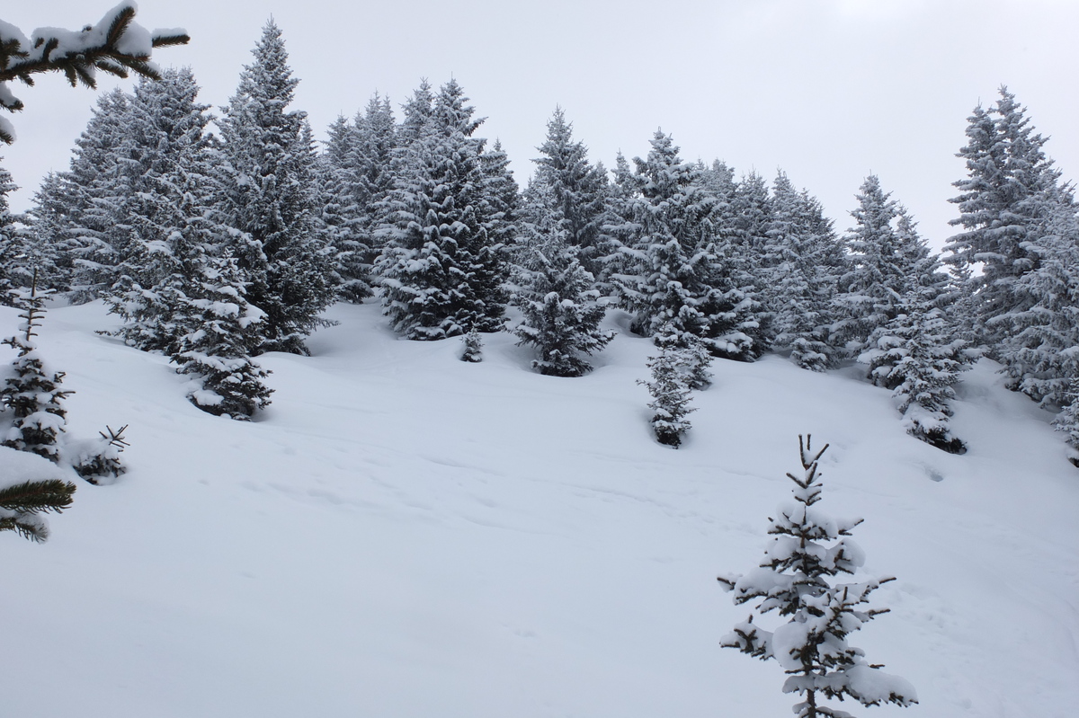 รูปถ่าย ฝรั่งเศส(France) เลทรัววาเล(Les 3 Vallees) 2013-03 277