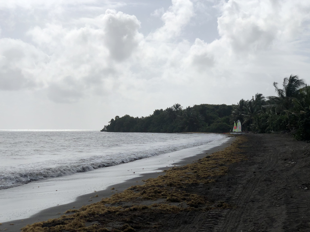 รูปถ่าย กวาเดอลูป(Guadeloupe) หาดวียาร์(Viard Beach) 2021-02 5