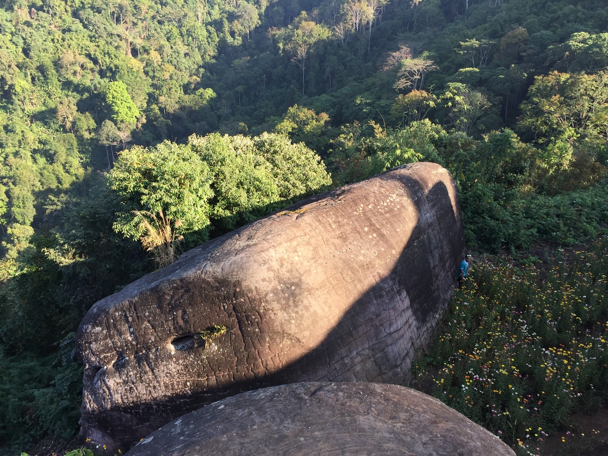 รูปถ่าย ไทย(Thailand) อุทยานแห่งชาติภูหินร่องกล้า(Phu Hin Rong Kla National Park) 2014-12 93