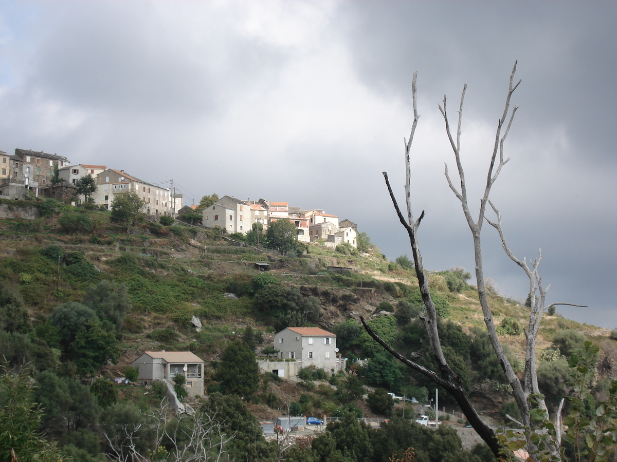 รูปถ่าย ฝรั่งเศส(France) คอร์สิคา(Corsica) วัลเล-ดาเลซานี(Valle d'alesani) 2006-09 85