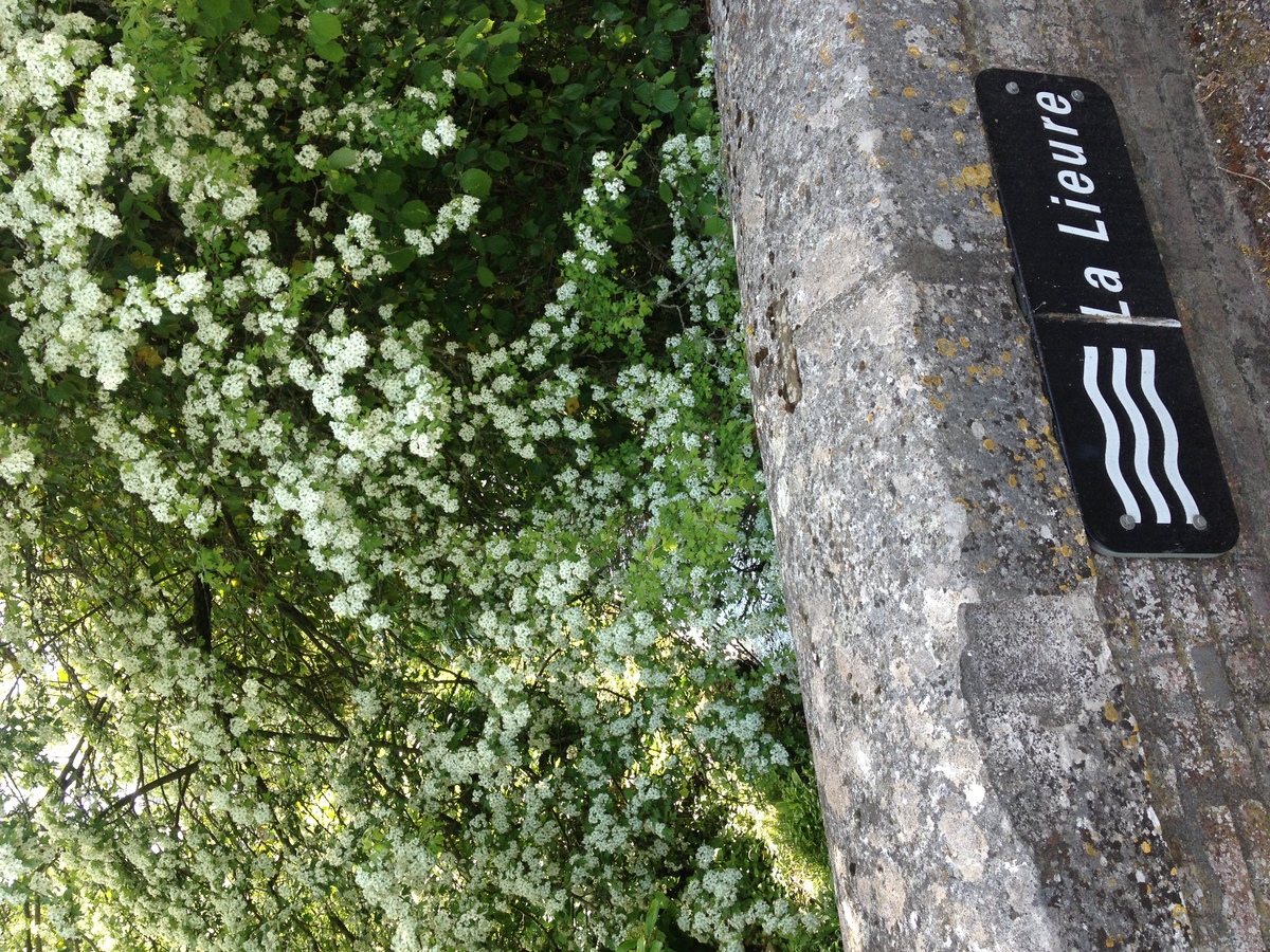 รูปถ่าย ฝรั่งเศส(France) ลียงส์-ลา-ฟอแร(Lyons La Foret) 2014-05 95
