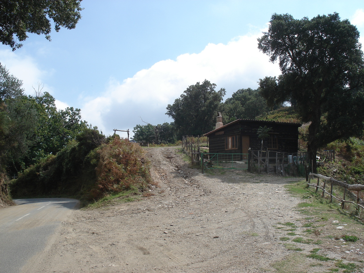 รูปถ่าย ฝรั่งเศส(France) คอร์สิคา(Corsica) วัลเล-ดาเลซานี(Valle d'alesani) 2006-09 58