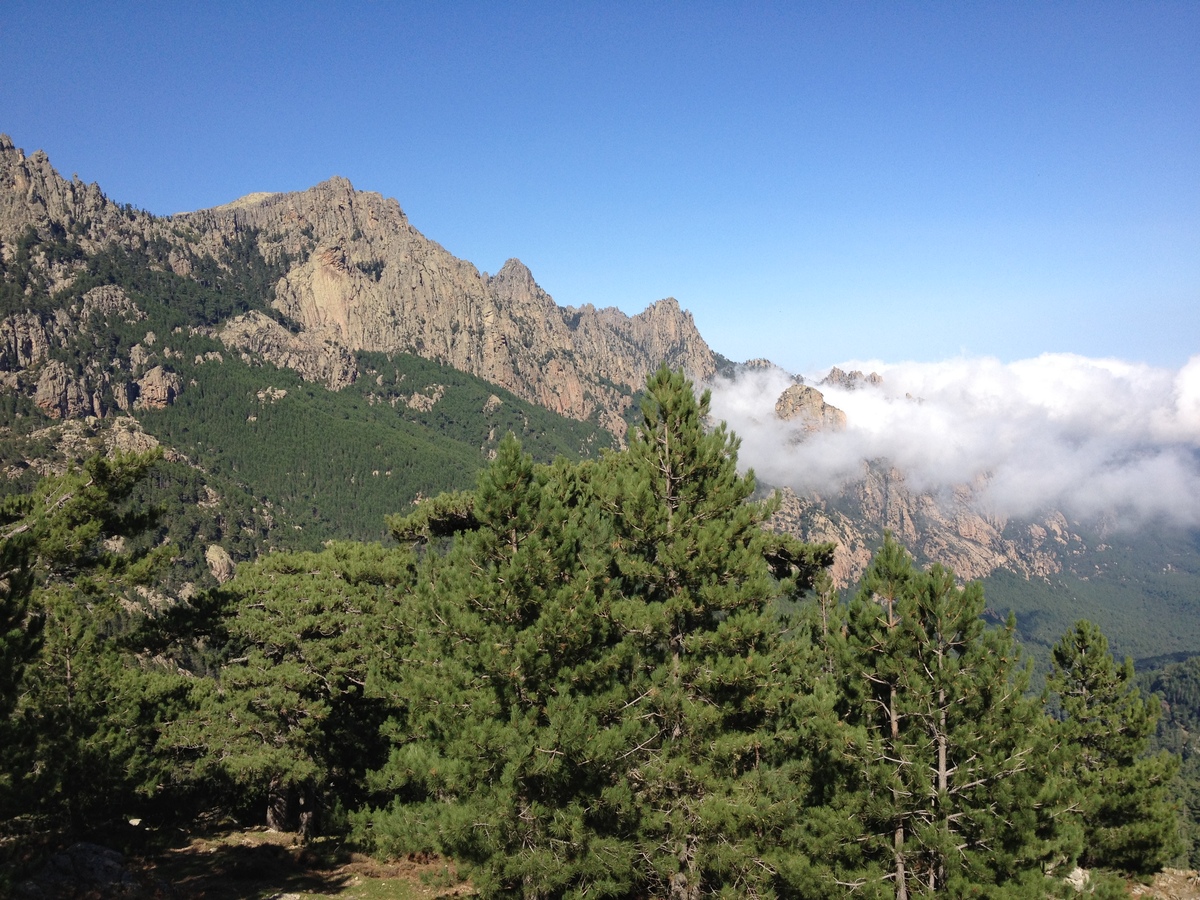 รูปถ่าย ฝรั่งเศส(France) คอร์สิคา(Corsica) บาแวลลา(Bavella) 2012-09 71