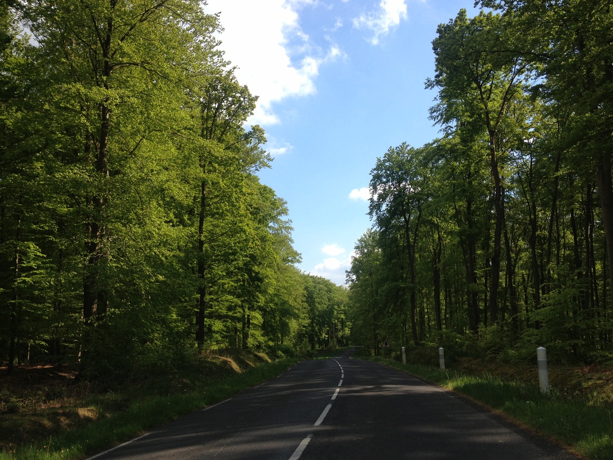 รูปถ่าย ฝรั่งเศส(France) ลียงส์-ลา-ฟอแร(Lyons La Foret) 2014-05 41