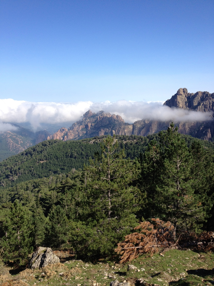 รูปถ่าย ฝรั่งเศส(France) คอร์สิคา(Corsica) บาแวลลา(Bavella) 2012-09 80