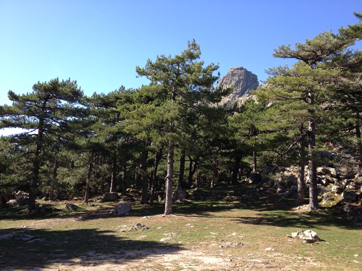 รูปถ่าย ฝรั่งเศส(France) คอร์สิคา(Corsica) บาแวลลา(Bavella) 2012-09 83