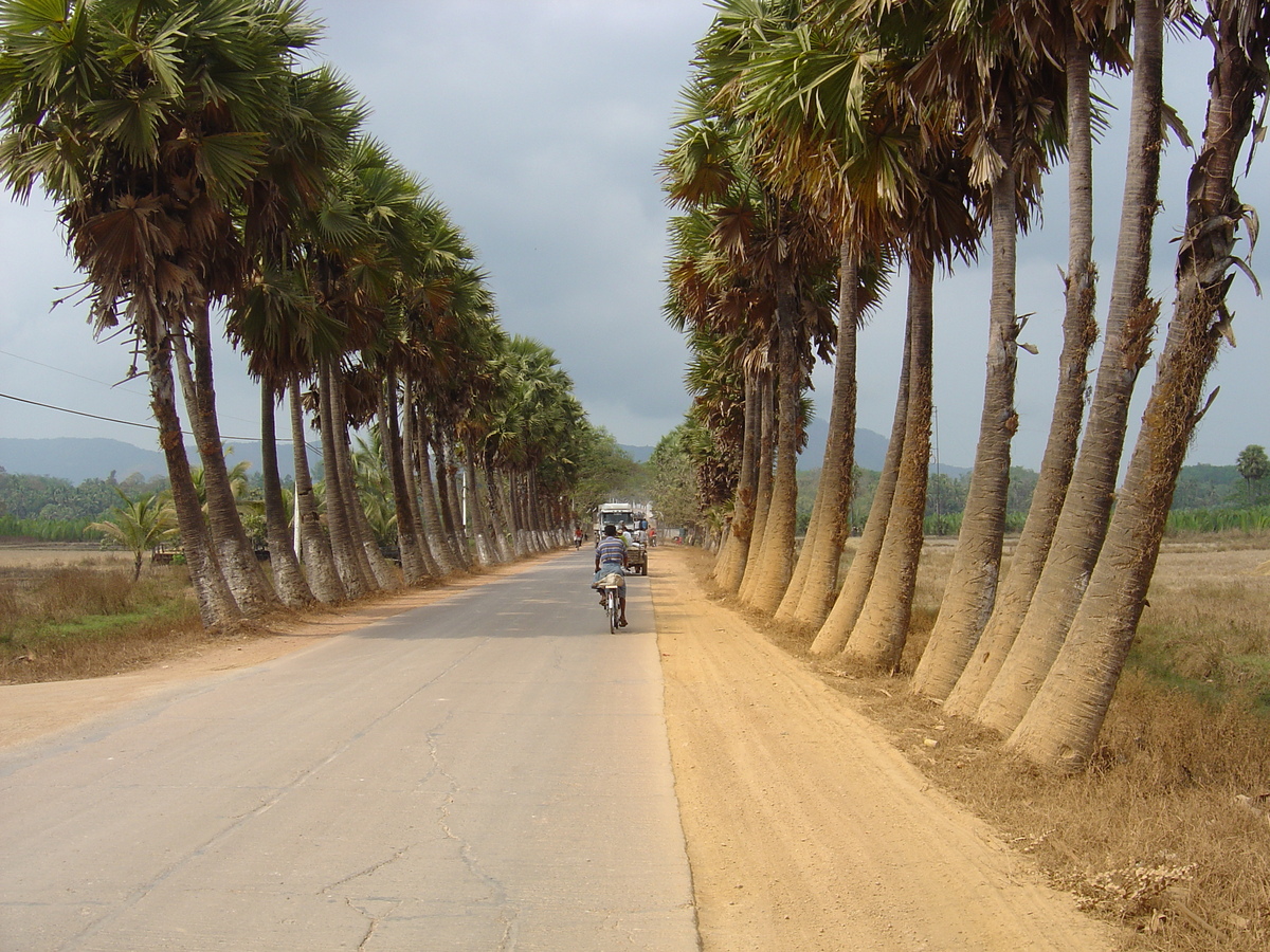 รูปถ่าย พม่า(Myanmar) ถนนจากทวายไปหาดหม่องมะกัน(Road from Dawei to Maungmagan beach) 2005-01 27