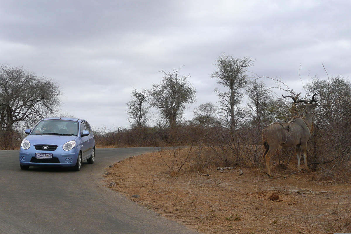 รูปถ่าย แอฟริกาใต้(South Africa) อุทยานแห่งชาติครูเกอร์(Kruger National Park) แม่น้ำซาเบิล(Sable River) 2008-09 94