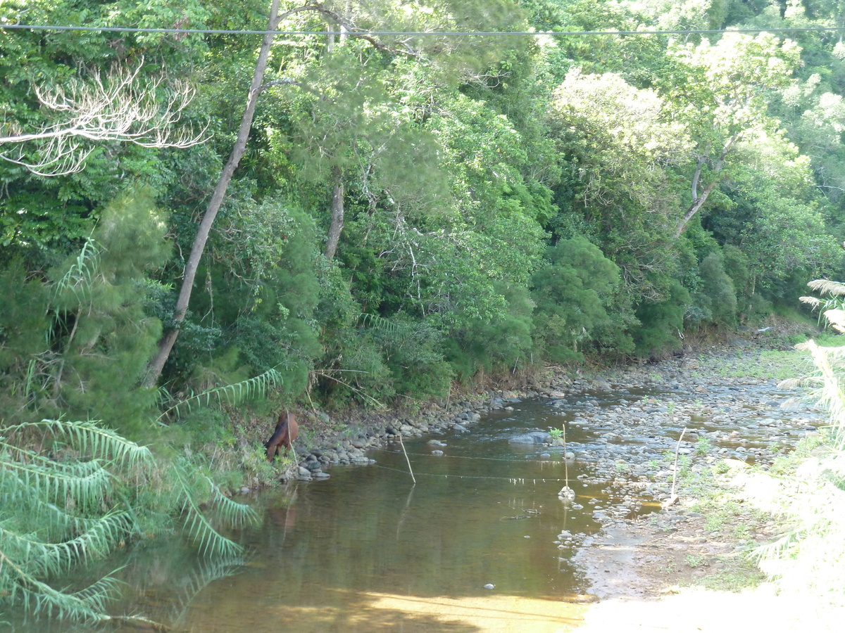 รูปถ่าย นิวแคลิโดเนีย(New Caledonia) ถนนจากตงตูตาไปทีโอ(Tontouta to Thio road) 2010-05 17