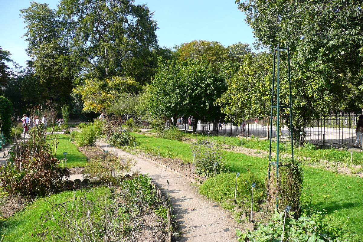 รูปถ่าย ฝรั่งเศส(France) ปารีส(Paris) สวนพันธ์ุพืช(Jardin des Plantes) 2007-08 87