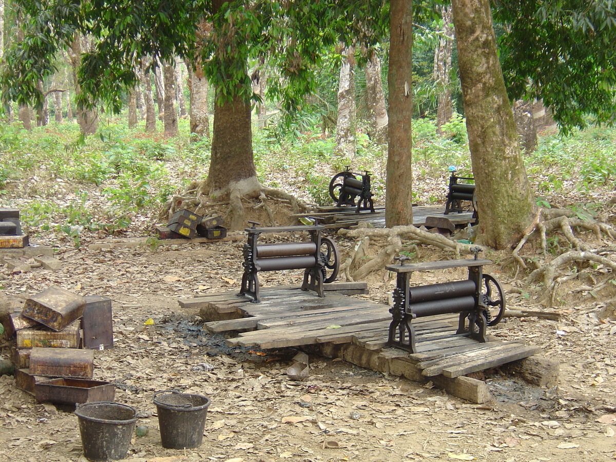 รูปถ่าย พม่า(Myanmar) ถนนจากทวายไปหาดหม่องมะกัน(Road from Dawei to Maungmagan beach) 2005-01 47