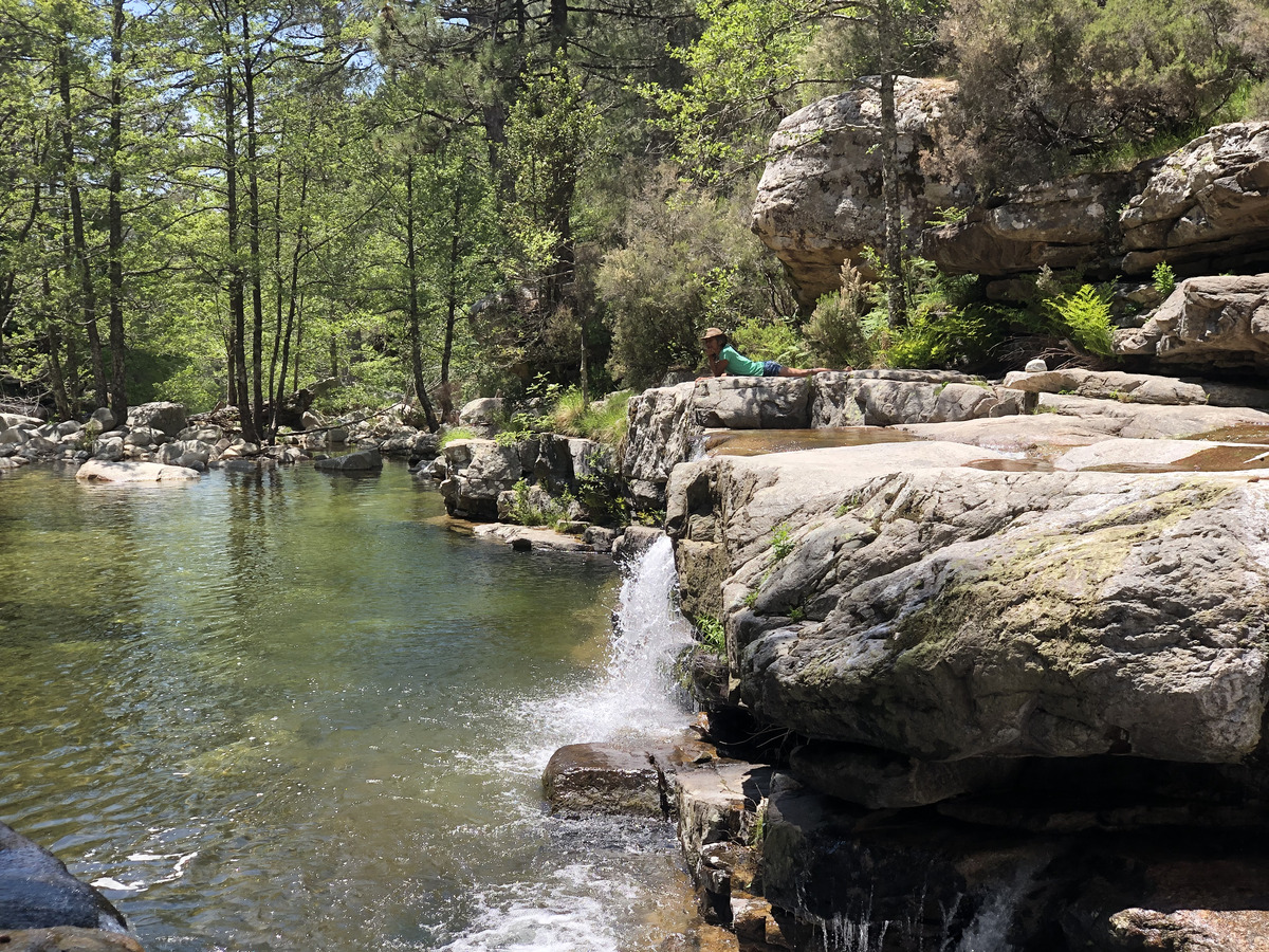 รูปถ่าย ฝรั่งเศส(France) คอร์สิคา(Corsica) ป่าไอโตเน(Aitone Forest) 2021-06 19