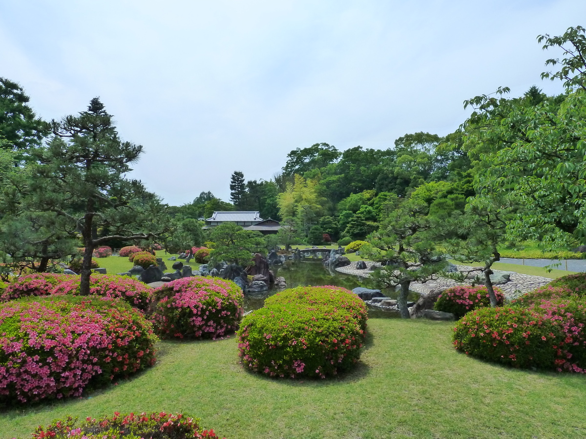 รูปถ่าย ญี่ปุ่น(Japan) เกียวโต(Kyoto) ปราสาทนิโจ(Nijo Castle) 2010-06 131