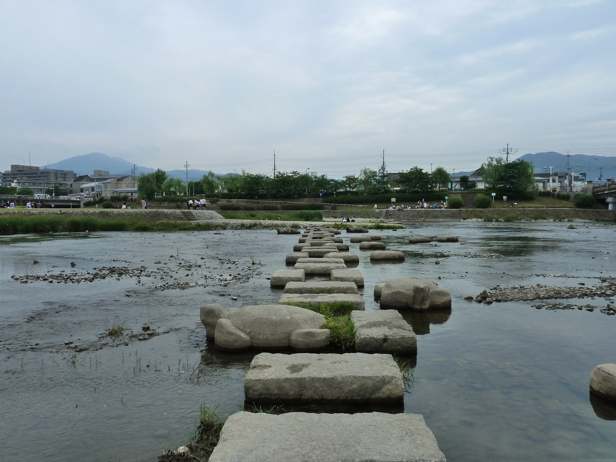 รูปถ่าย ญี่ปุ่น(Japan) เกียวโต(Kyoto) แม่น้ำคาโมะ(Kamo River) 2010-06 20