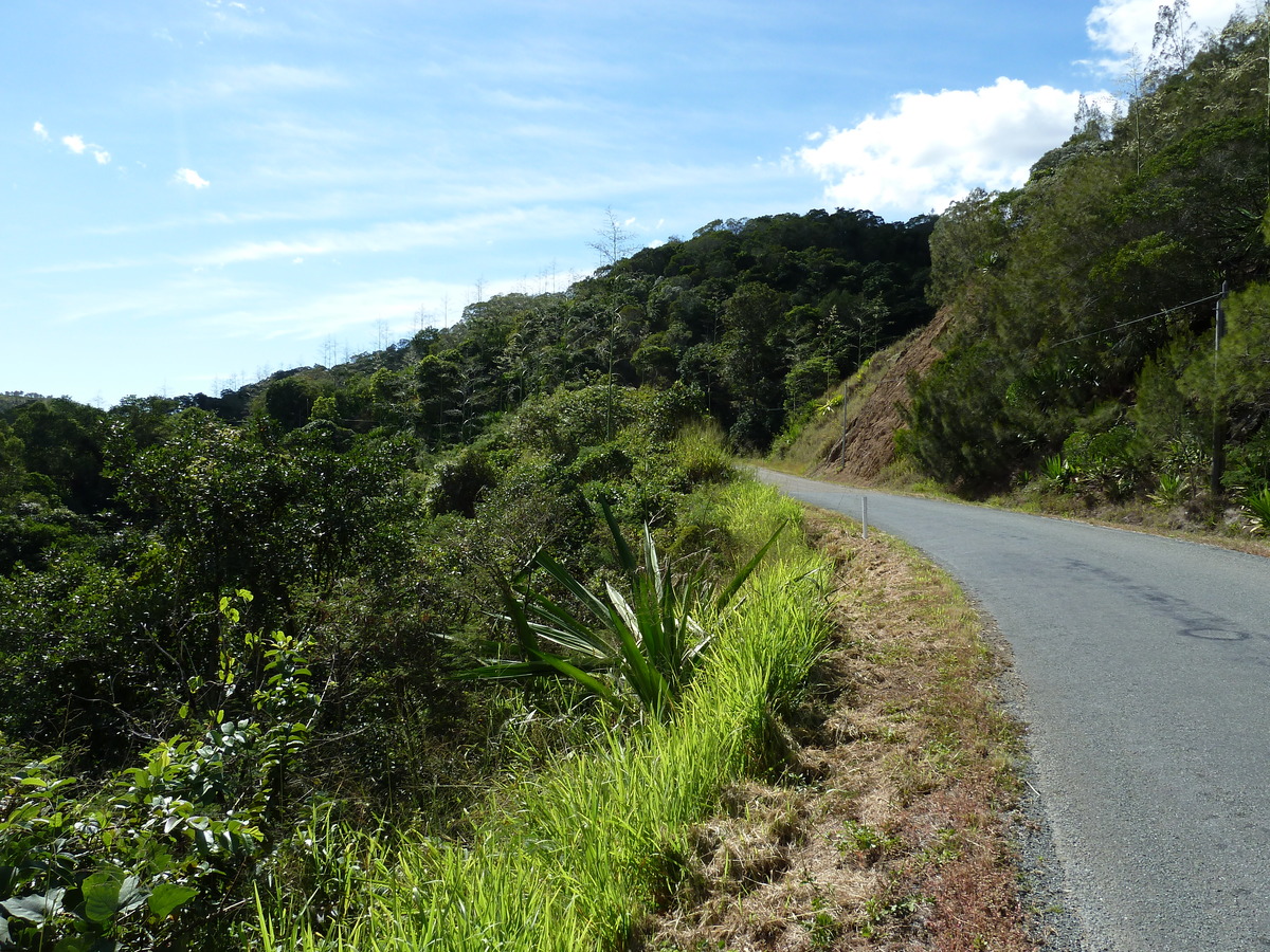รูปถ่าย นิวแคลิโดเนีย(New Caledonia) ถนนจากตงตูตาไปทีโอ(Tontouta to Thio road) 2010-05 103