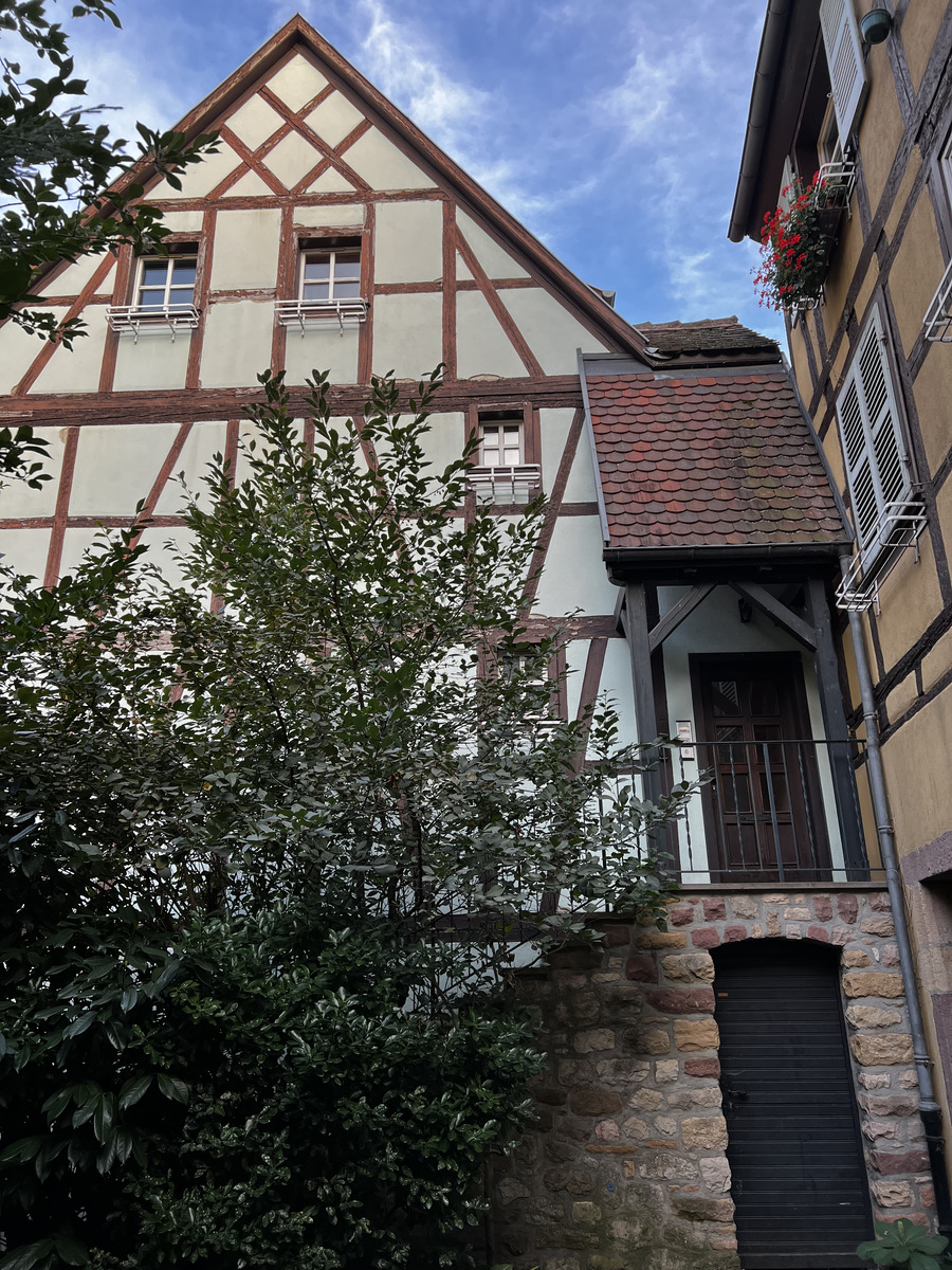 รูปถ่าย ฝรั่งเศส(France) กอลมาร์(Colmar) 2023-10 80