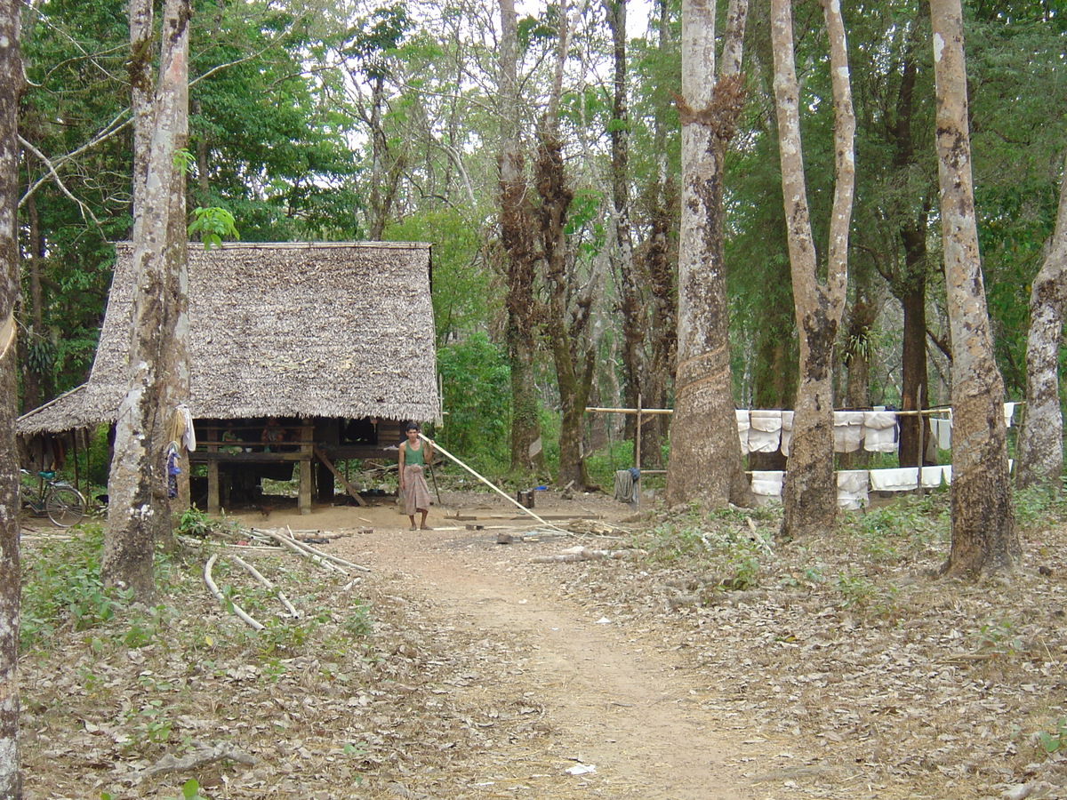 รูปถ่าย พม่า(Myanmar) ถนนจากทวายไปหาดหม่องมะกัน(Road from Dawei to Maungmagan beach) 2005-01 28