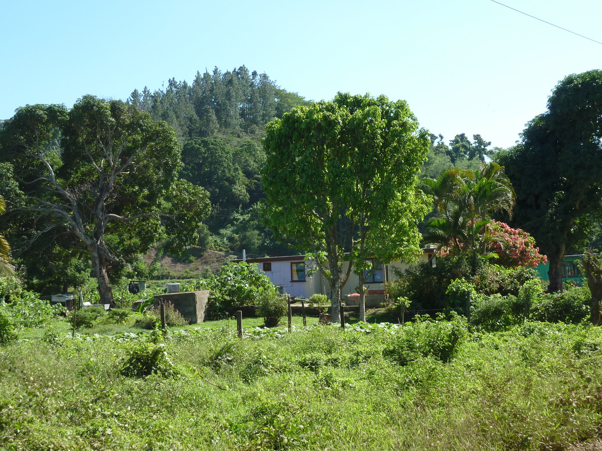 รูปถ่าย ฟิจิ(Fiji) แม่น้ำซิงกาโตกา(Sigatoka river) 2010-05 73