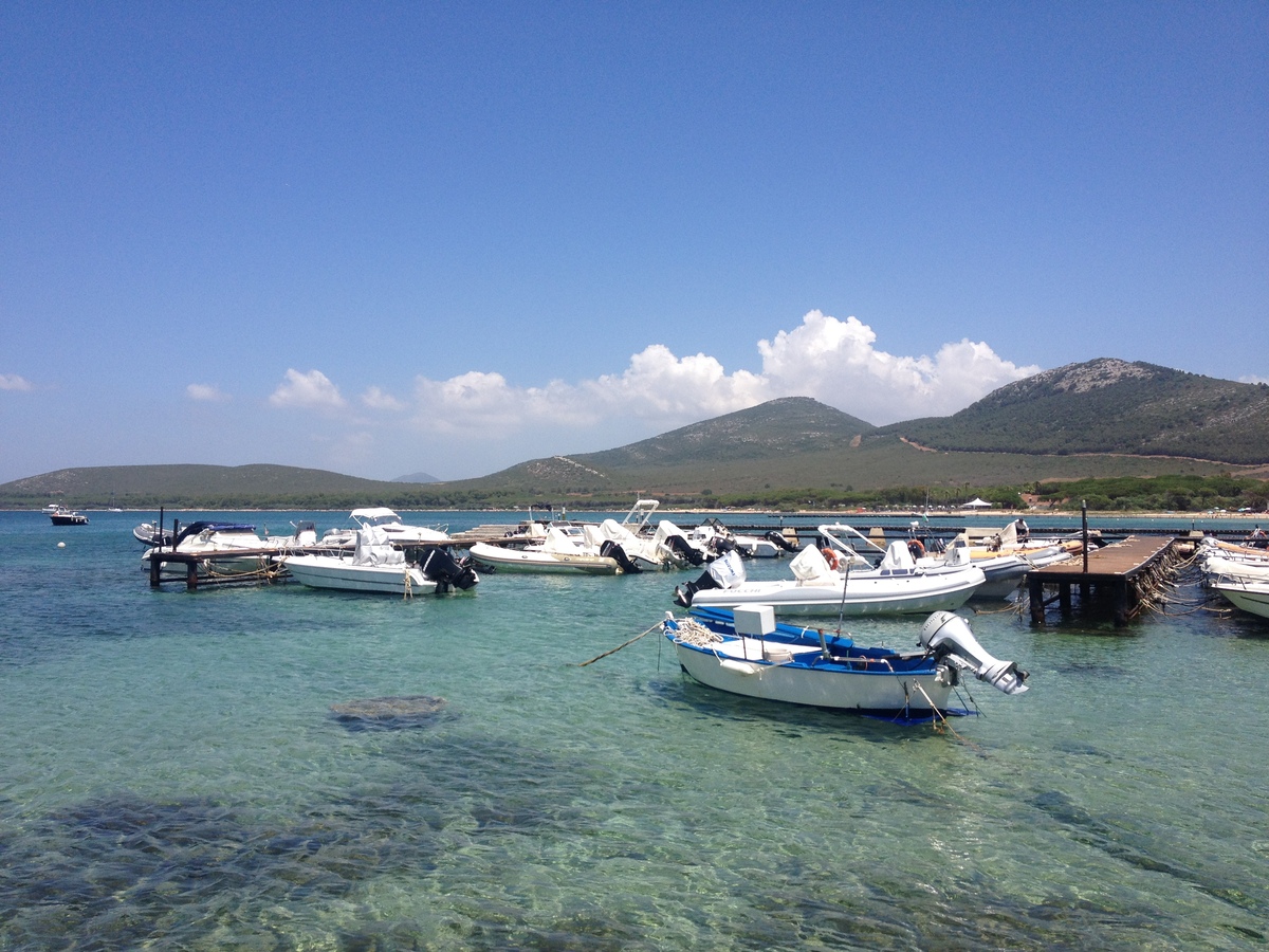 รูปถ่าย อิตาลี(Italy) ซาร์ดิเนีย(Sardinia) อัลเกโร(Alghero) 2015-06 46