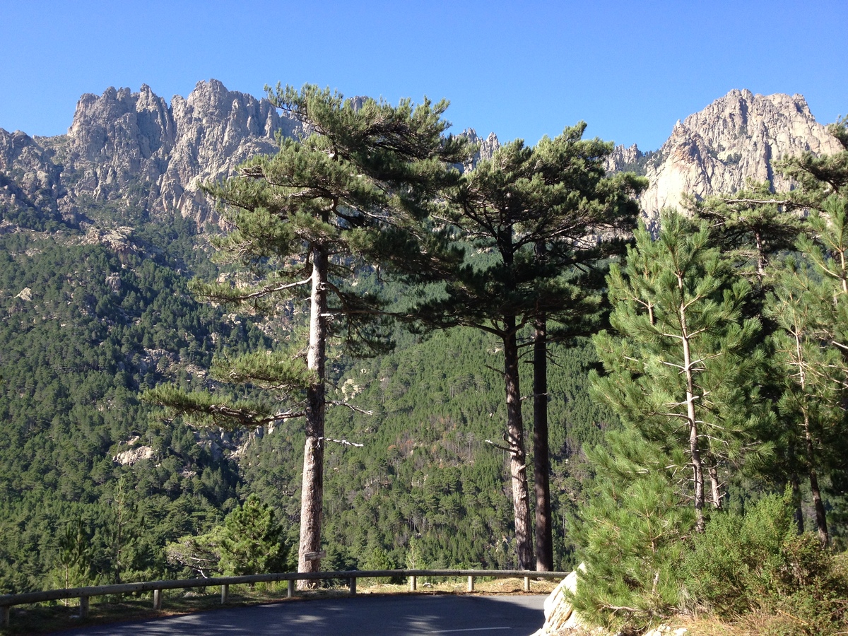 รูปถ่าย ฝรั่งเศส(France) คอร์สิคา(Corsica) บาแวลลา(Bavella) 2012-09 41