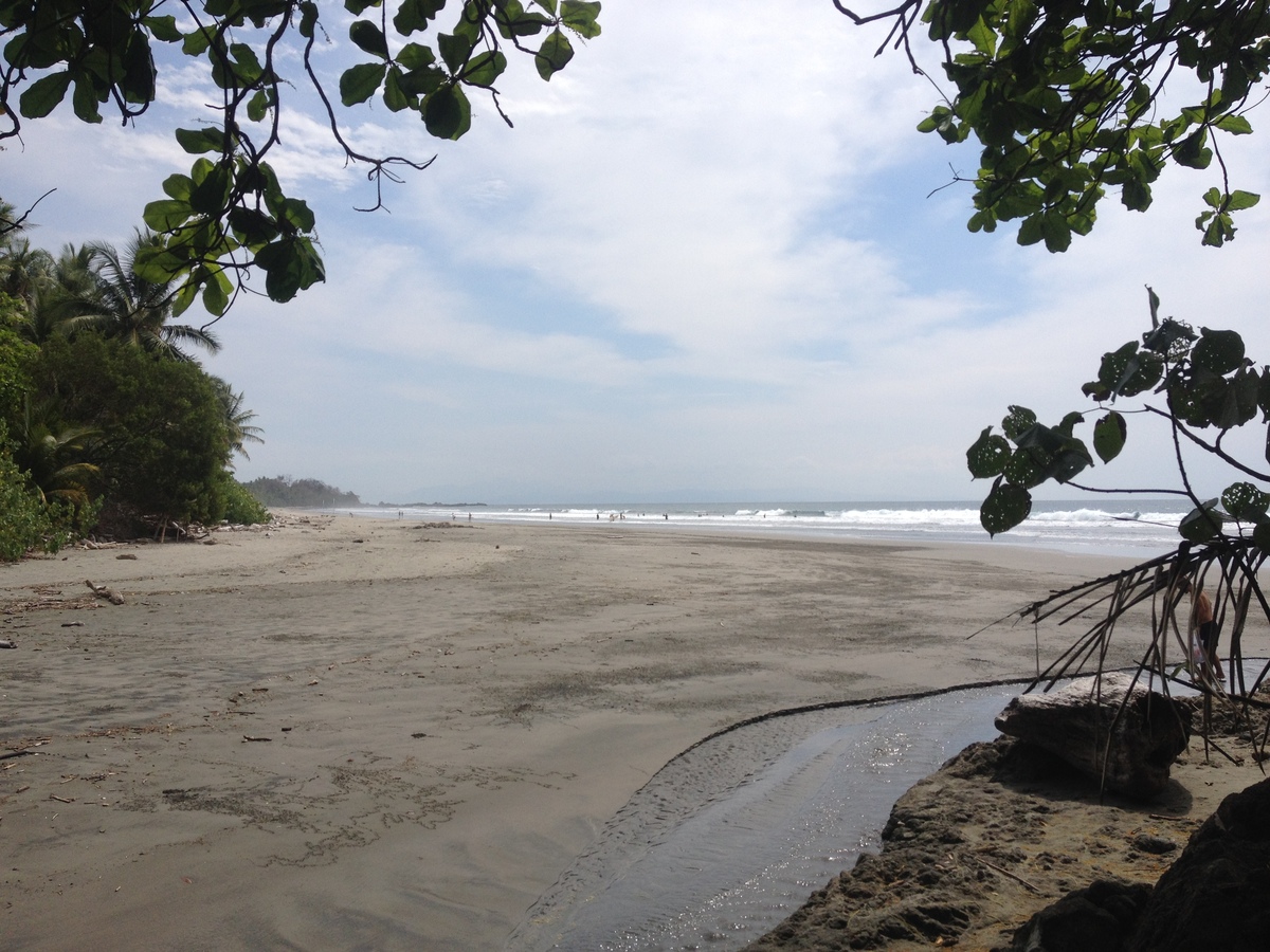 รูปถ่าย คอสตาริกา(Costa Rica) มอนเตซูมา(Montezuma) 2015-03 383