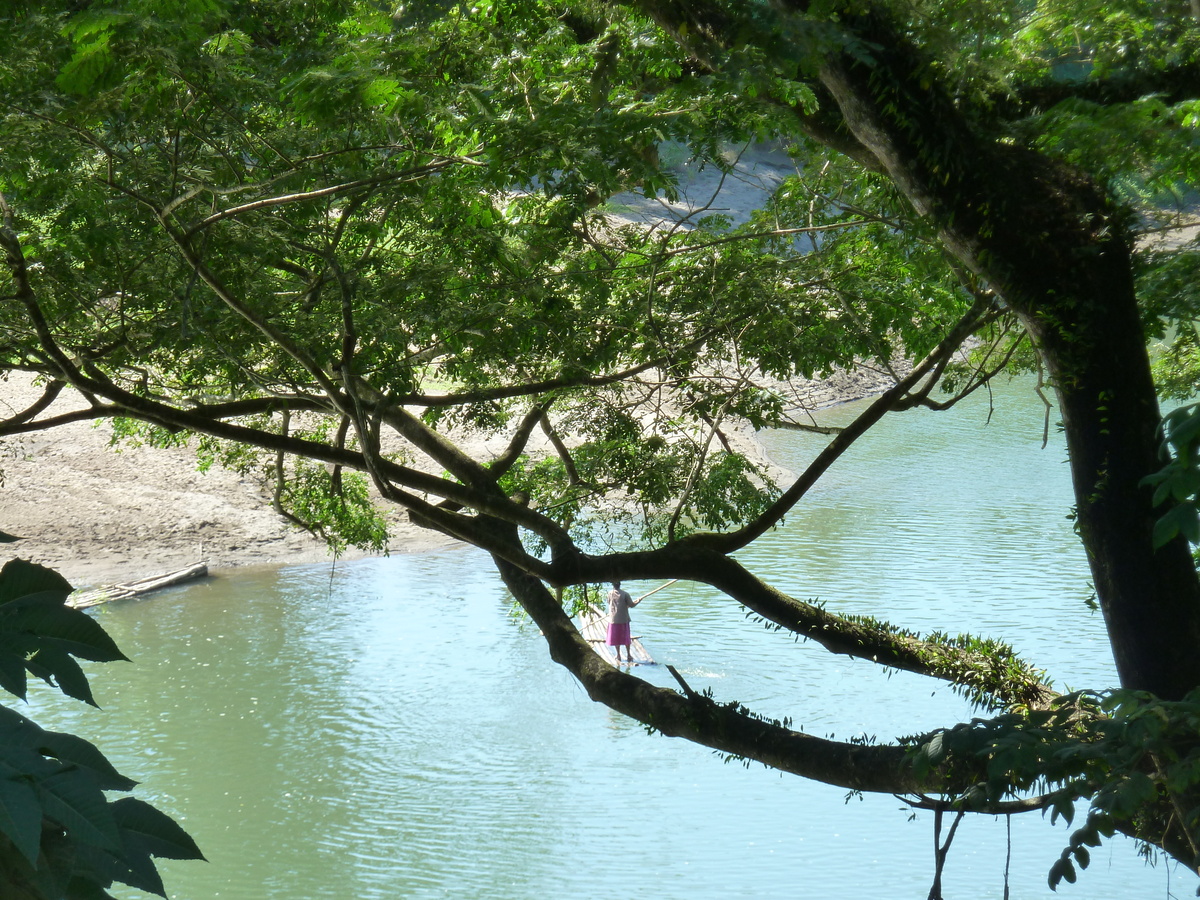 รูปถ่าย ฟิจิ(Fiji) แม่น้ำซิงกาโตกา(Sigatoka river) 2010-05 91
