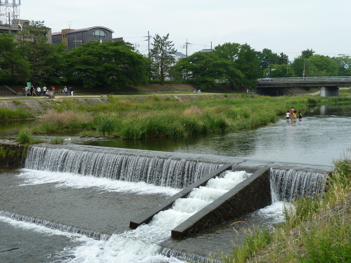 รูปถ่าย ญี่ปุ่น(Japan) เกียวโต(Kyoto) แม่น้ำคาโมะ(Kamo River) 2010-06 34