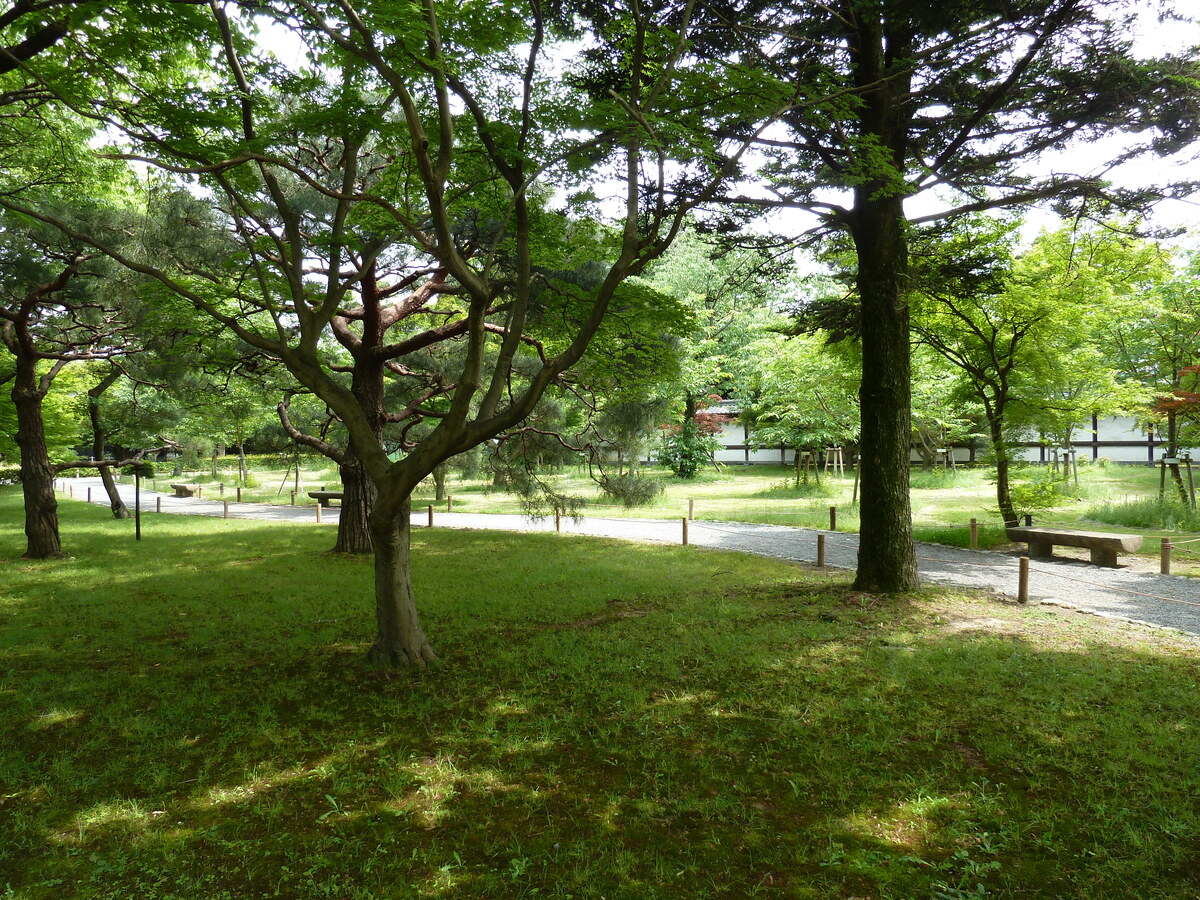 รูปถ่าย ญี่ปุ่น(Japan) เกียวโต(Kyoto) ปราสาทนิโจ(Nijo Castle) 2010-06 1