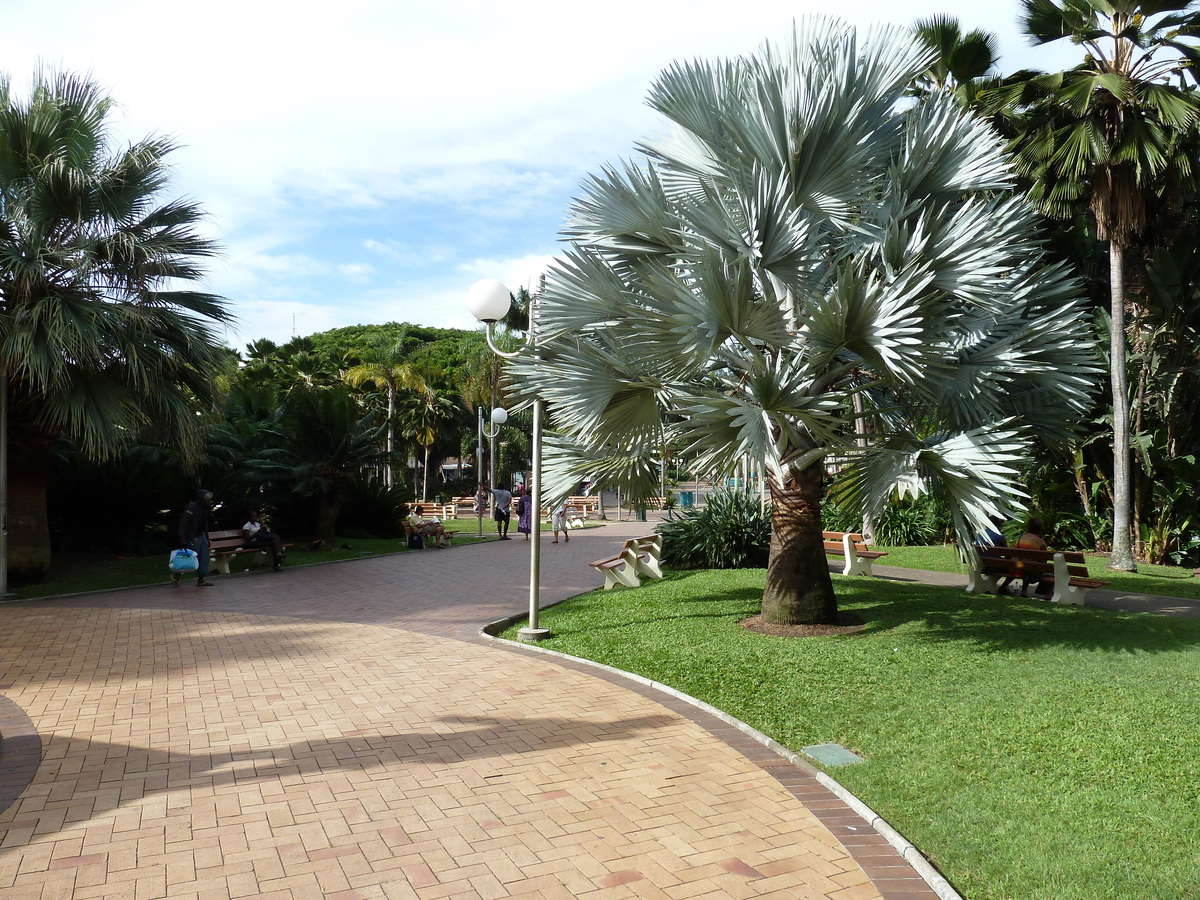 รูปถ่าย นิวแคลิโดเนีย(New Caledonia) นูเมอา(Noumea) 2010-05 37