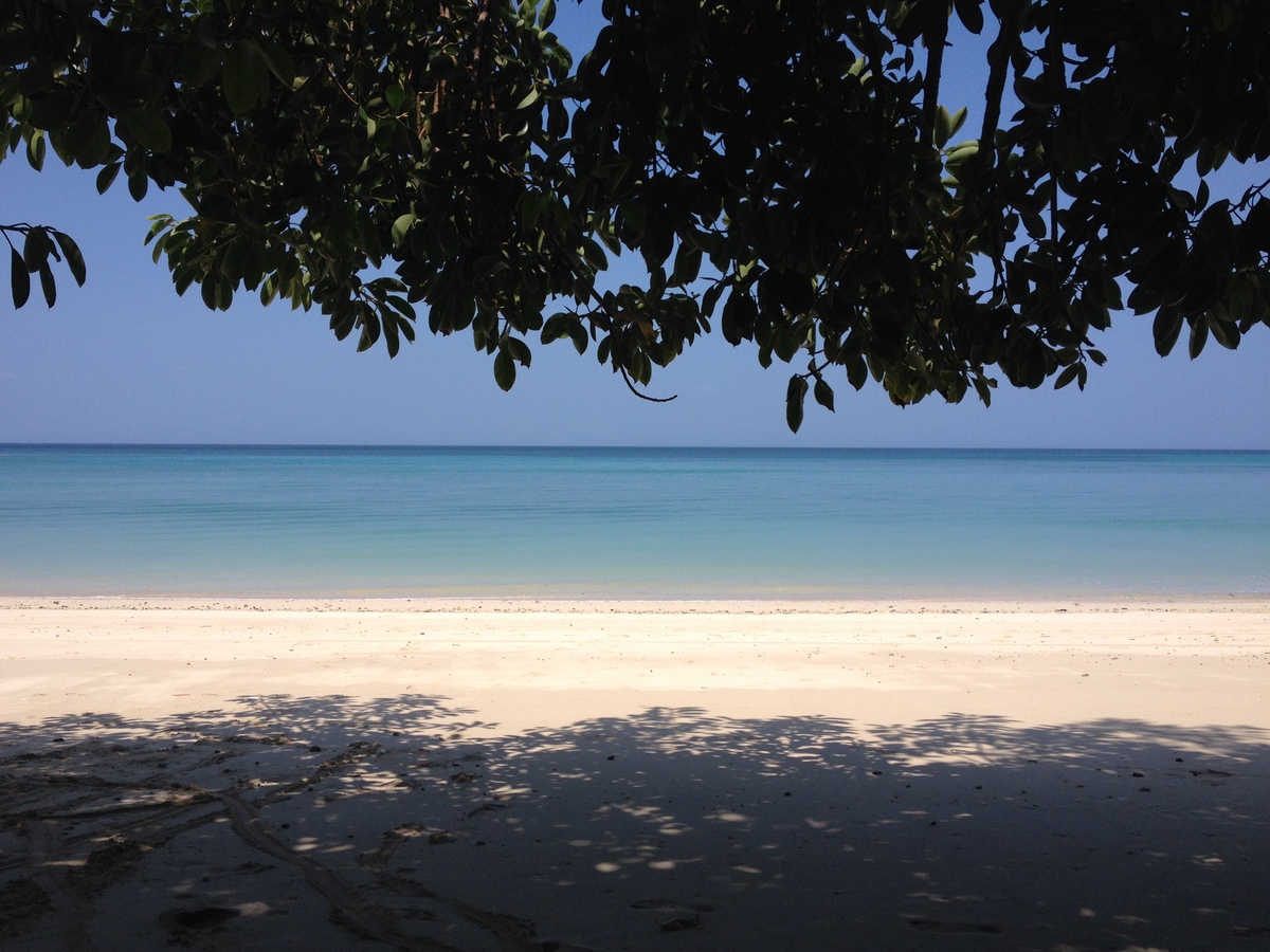 รูปถ่าย ปานามา(Panama) เกาะคอนตาโดรา(Contadora Island) 2015-03 74