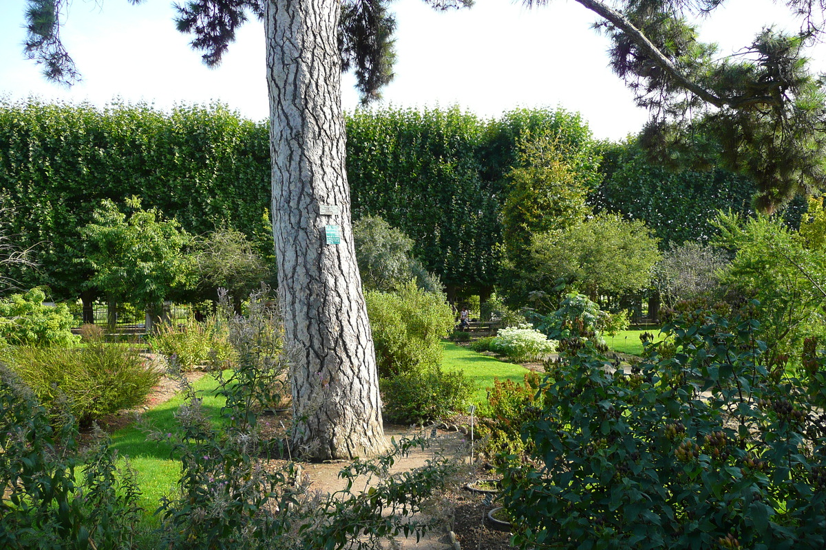 รูปถ่าย ฝรั่งเศส(France) ปารีส(Paris) สวนพันธ์ุพืช(Jardin des Plantes) 2007-08 108